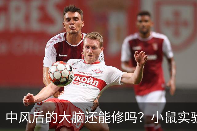 中风后的大脑还能修吗？小鼠实验给出一个意外答案