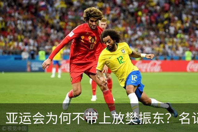 亚运会为何不带上放樊振东？名记：选拔规则曝光，王励勤或不该犯错