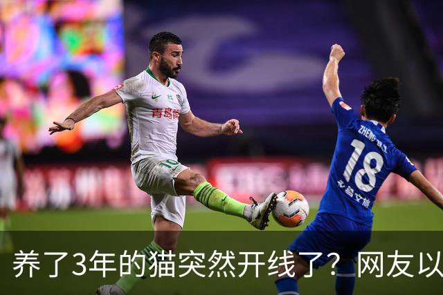 养了3年的猫突然开线了？网友以为是玩具，点开一看笑喷：快缝上