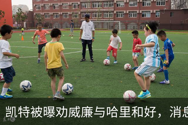 凯特被曝劝威廉与哈里和好，消息人士：这种难堪局面已无法维持
