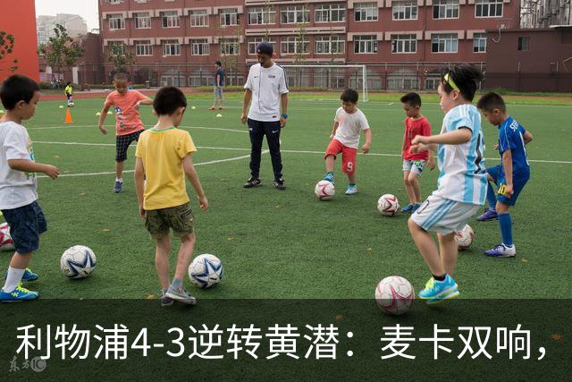 利物浦4-3逆转黄潜：麦卡双响，恩古莫哈2助，范迪克该去意甲了
