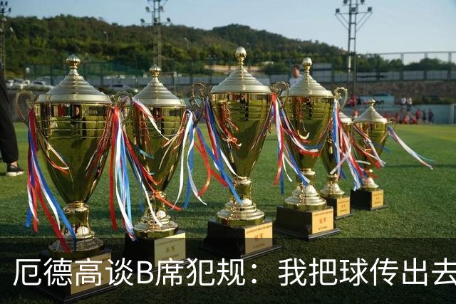 厄德高谈B席犯规：我把球传出去了还踢我，不明白他到底想干什么