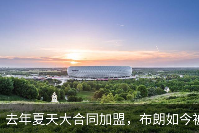 去年夏天大合同加盟，布朗如今被尼克斯裁掉
