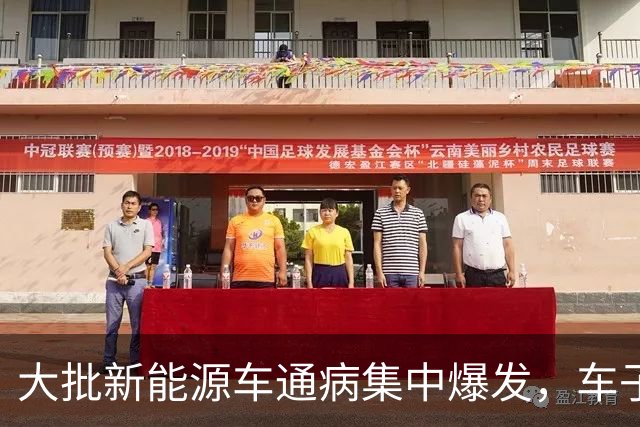 大批新能源车通病集中爆发，车子开着没问题，电池却直接废掉