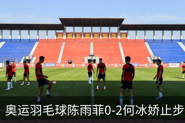 奥运羽毛球陈雨菲0-2何冰娇止步8强 卫冕之路终结