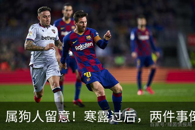 属狗人留意！寒露过后，两件事倒逼你转变
