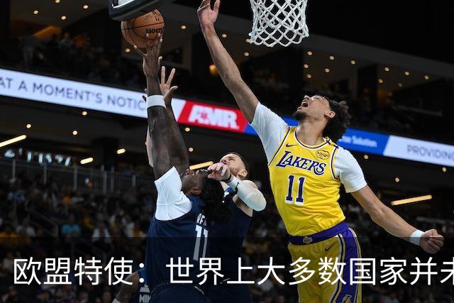 欧盟特使：世界上大多数国家并未遵守欧盟针对俄罗斯实施的制裁
