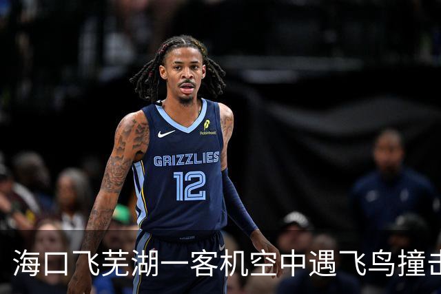 海口飞芜湖一客机空中遇飞鸟撞击，起飞20分钟后返航检查，桂林航空客服回应
