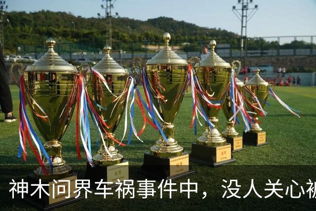 神木问界车祸事件中，没人关心被烧死的那个人