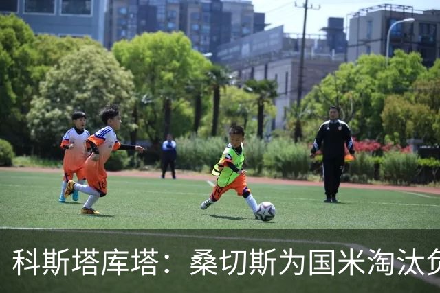 科斯塔库塔：桑切斯为国米淘汰负责 两次犯了大错
