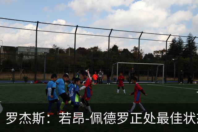 罗杰斯：若昂-佩德罗正处最佳状态，他的进球欲望非常强烈