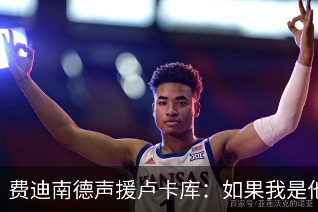 费迪南德声援卢卡库：如果我是他 我可能会疯