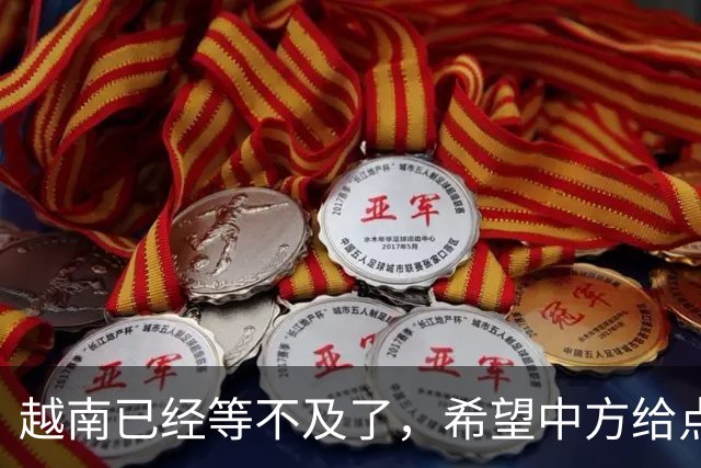 越南已经等不及了，希望中方给点实在的，不仅要挣钱还要中国技术