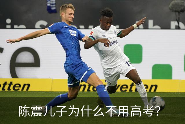 陈震儿子为什么不用高考？