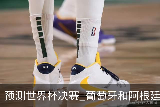 预测世界杯决赛 葡萄牙和阿根廷相遇的可能性9.4%