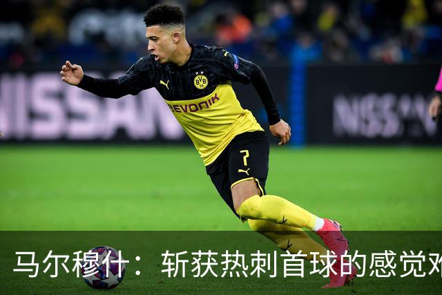 马尔穆什：斩获热刺首球的感觉难以置信，更高兴的是拿到三分