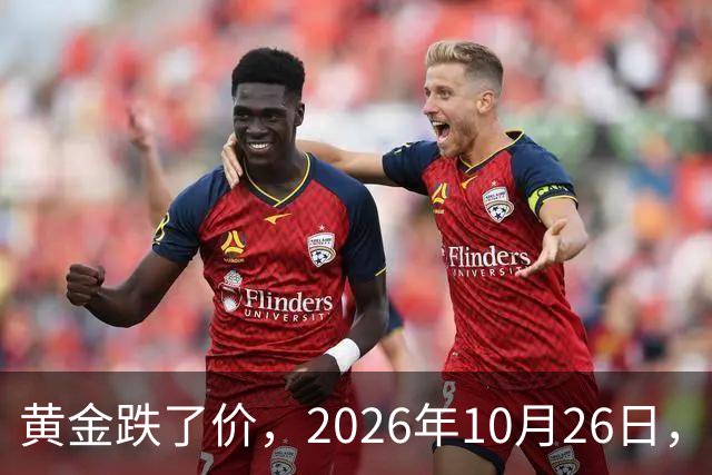 黄金跌了价，2026年10月26日，中国黄金最新价格，人民币黄金最新价格一览