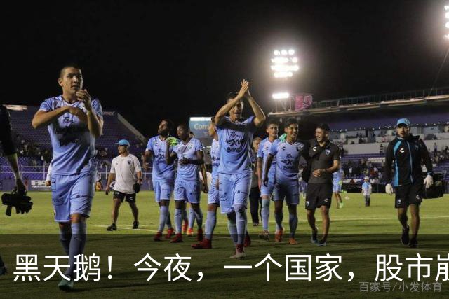黑天鹅！今夜，一个国家，股市崩了