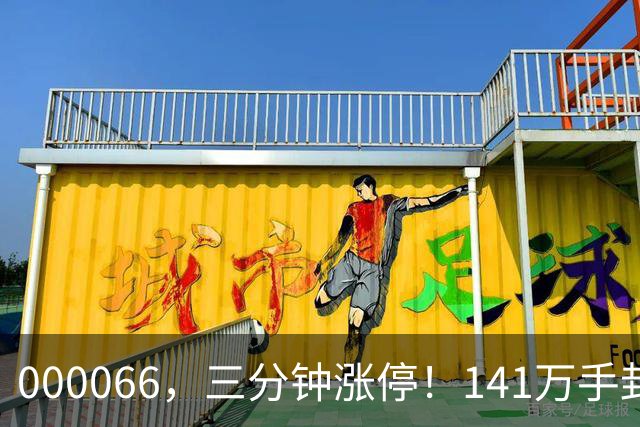 000066，三分钟涨停！141万手封单！