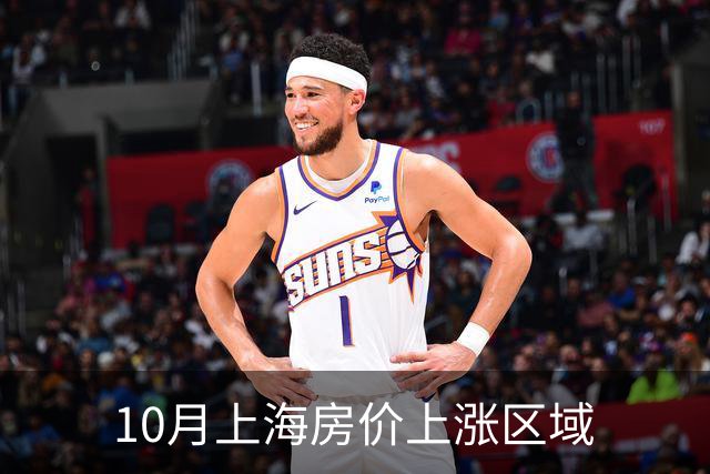 10月上海房价上涨区域