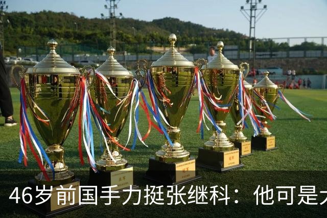 46岁前国手力挺张继科：他可是大满贯！网友：圈里人瞧不上刘丁硕
